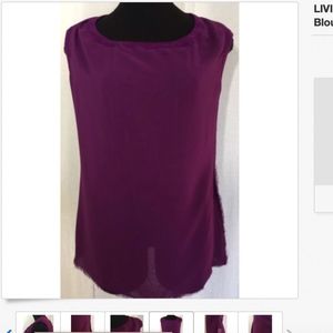 LIVIANA CONTI Purple Sheer Raw Edge Blouse ⭐️